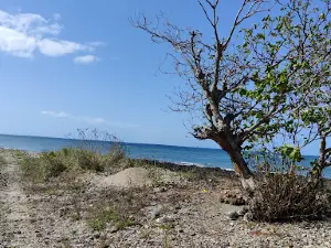 Mbagani Gambé Foro