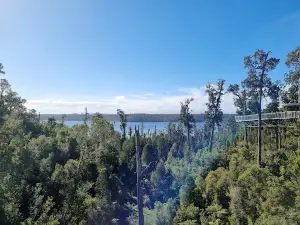 West Coast Tree Top