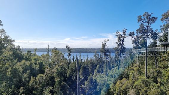 Treetop Walk & Zipline