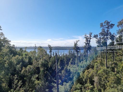Treetop Walk & Zipline