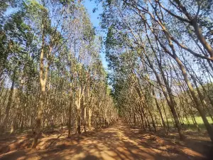 Phnom Nam Lyr Wildlife Sanctuary