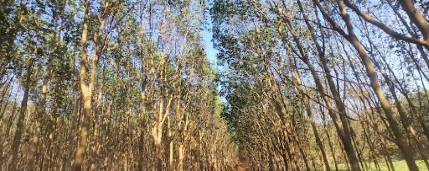 Phnom Nam Lyr Wildlife Sanctuary
