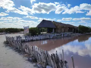 Salinas Rosas