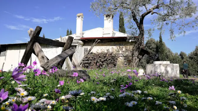Saint Paisios Holy Cell (Panagouda)