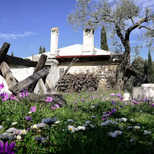 Saint Paisios Holy Cell (Panagouda)