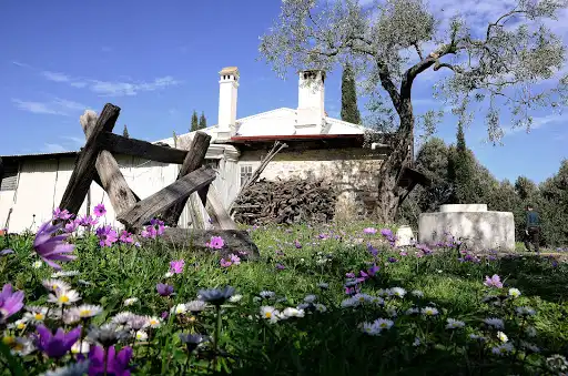 Saint Paisios Holy Cell (Panagouda)