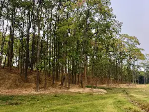 Gaurang Botanical Garden