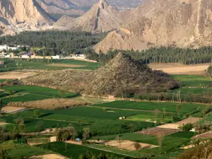 Ruins of Jamal Garhi Mardan