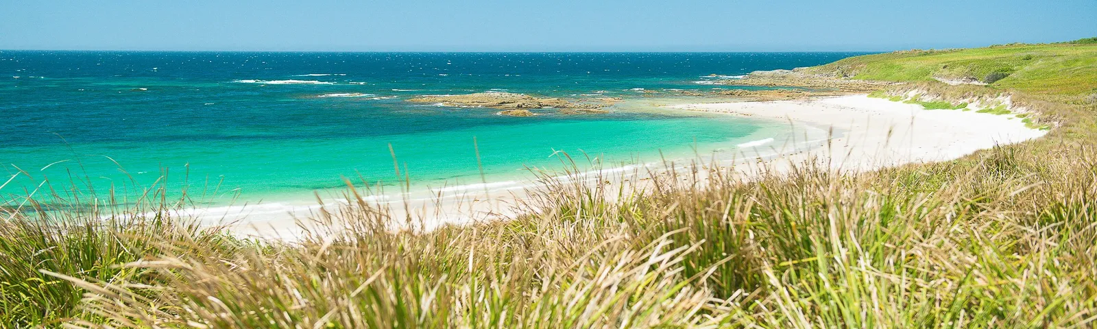 넬슨베이데이 투어