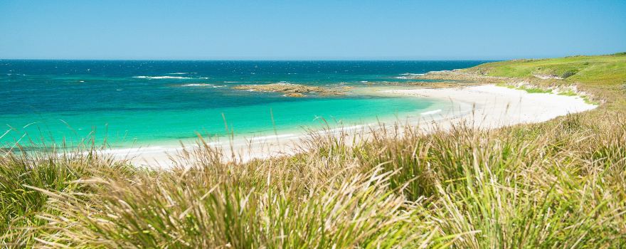 Nelson Bay