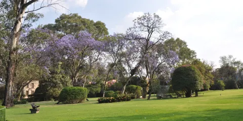 多洛雷斯?奧爾梅多??帕蒂諾博物館
