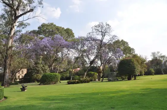 Hotels near Museo Dolores Olmedo