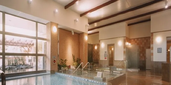 Tennen Onsen Naniwanoyu image 1
