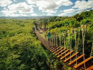 CLIMB Works Keana Farms Zipline Tour