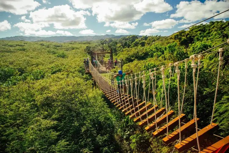 Hotels near CLIMB Works Keana Farms Zipline Tour