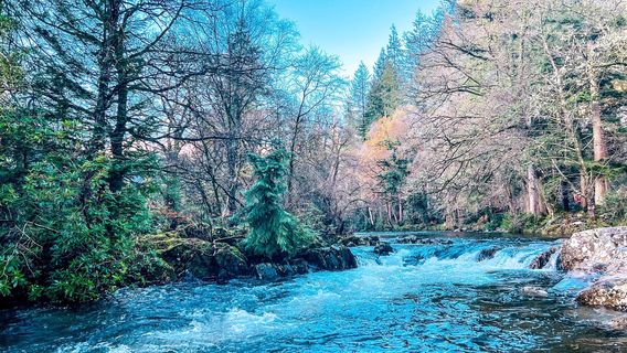 Eryri National Park (Snowdonia)