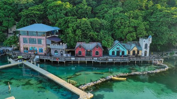 Dolphin Cove Ocho Rios