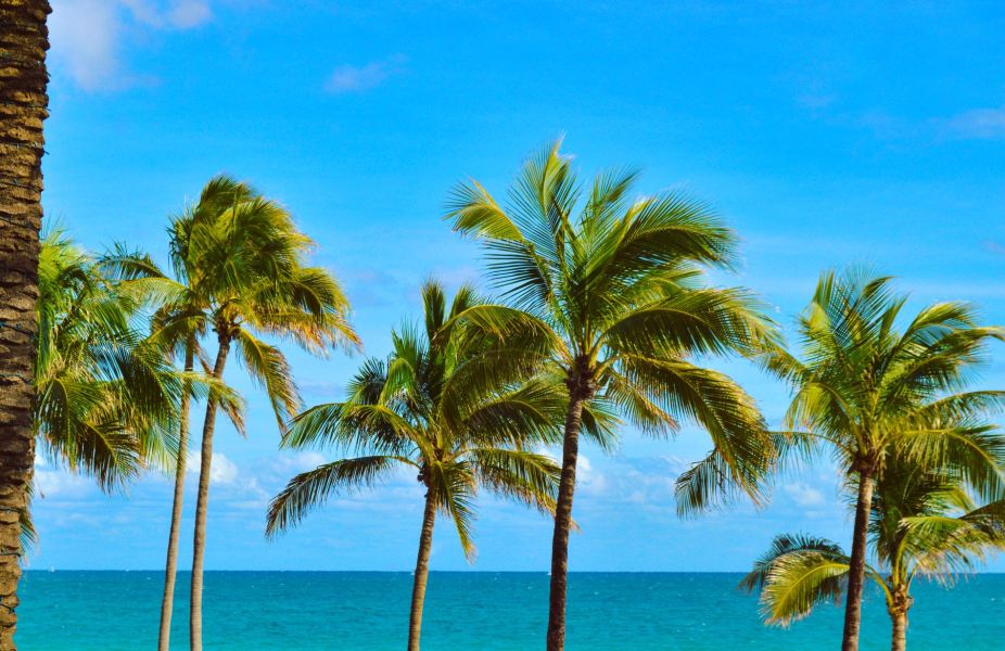 Los Angeles to Fort Lauderdale Flights