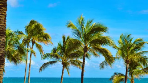 フォートローダーデール travel destination