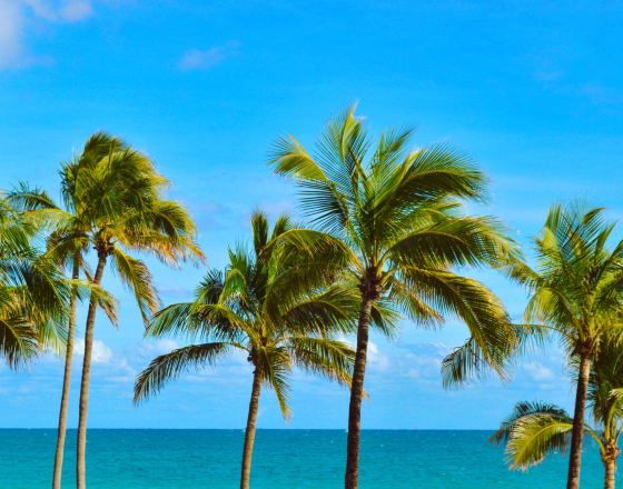 勞德代爾堡 自由行套票