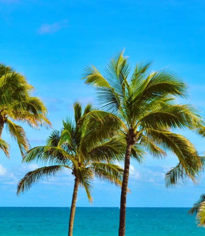 Fort Lauderdale