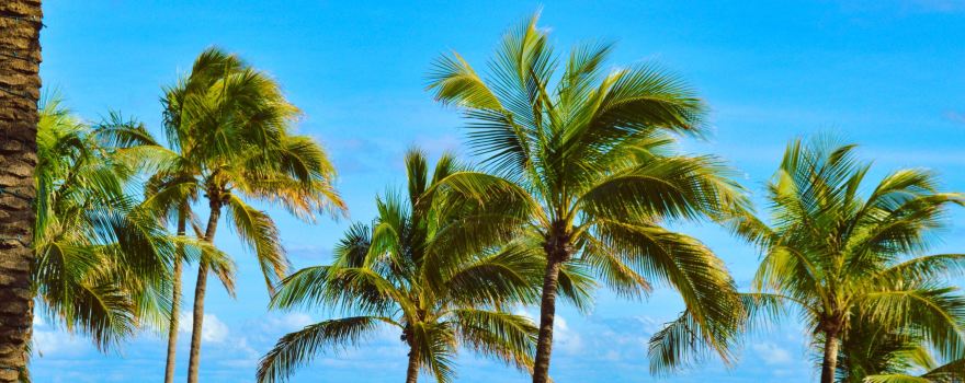 Fort Lauderdale