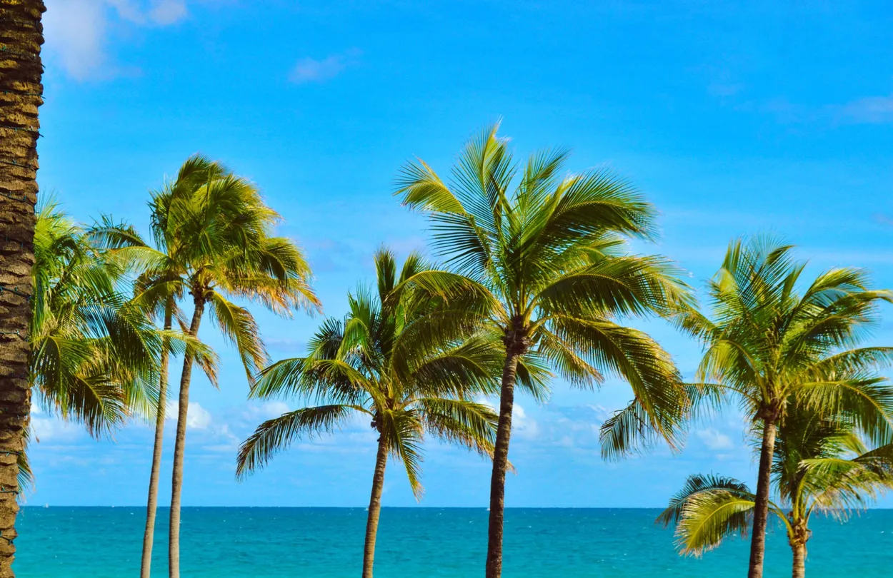 2_Fort Lauderdale Beach