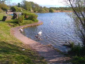 Cosmeston Lakes Country Park & Medieval Village