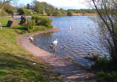 Cosmeston Lakes Country Park