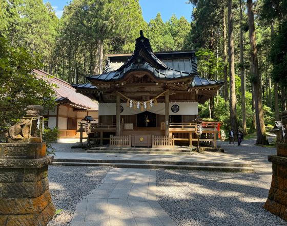 日立市 自由行套票