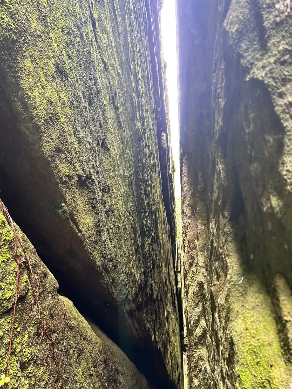 Hotel in zona Edakkal Caves