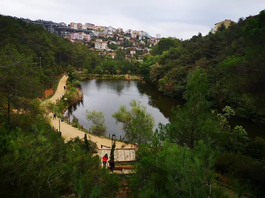 3_Ataturk's Urban Forest