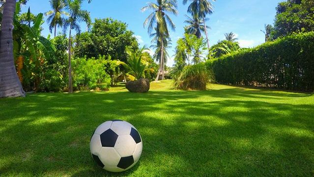 Samui Football Golf