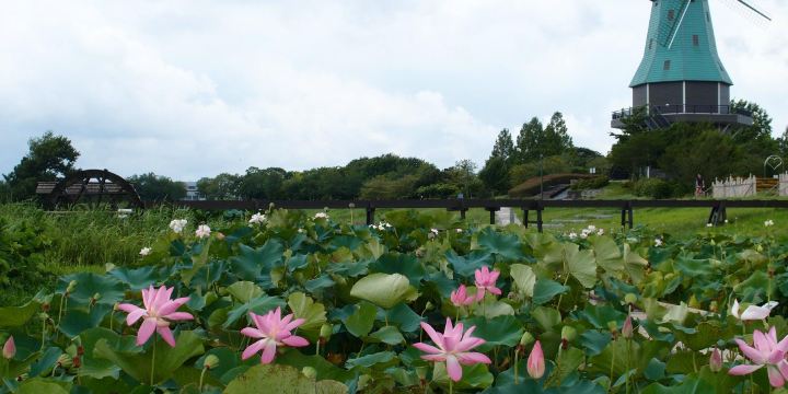 Tsuchiura City Kasumigaura Comprehensive Park