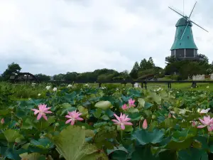 Tsuchiura City Kasumigaura Comprehensive Park