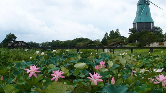 Tsuchiura City Kasumigaura Comprehensive Park