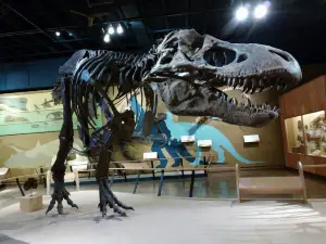 Cleveland Museum of Natural History