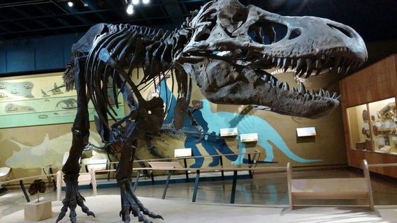 Cleveland Museum of Natural History