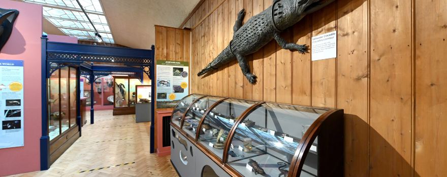 Haslemere Educational Museum