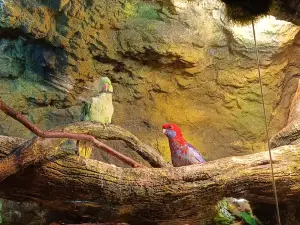 Latgale Zoo