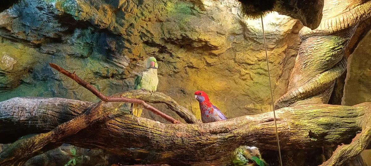 Latgale Zoo