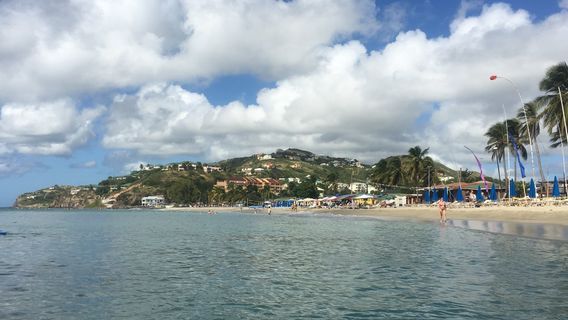 St. Kitts SUP Safari