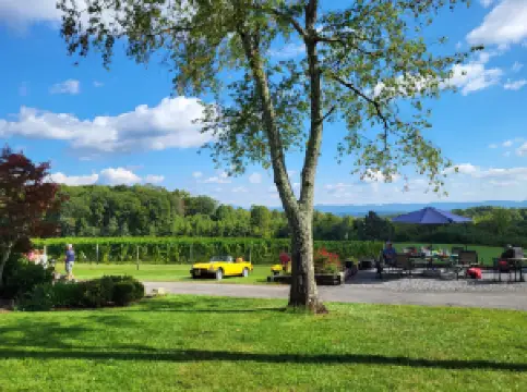 Virginia Mountain Vineyards
