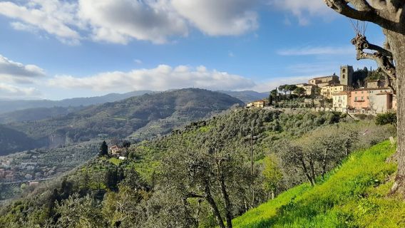 Proloco Montecatini Alto