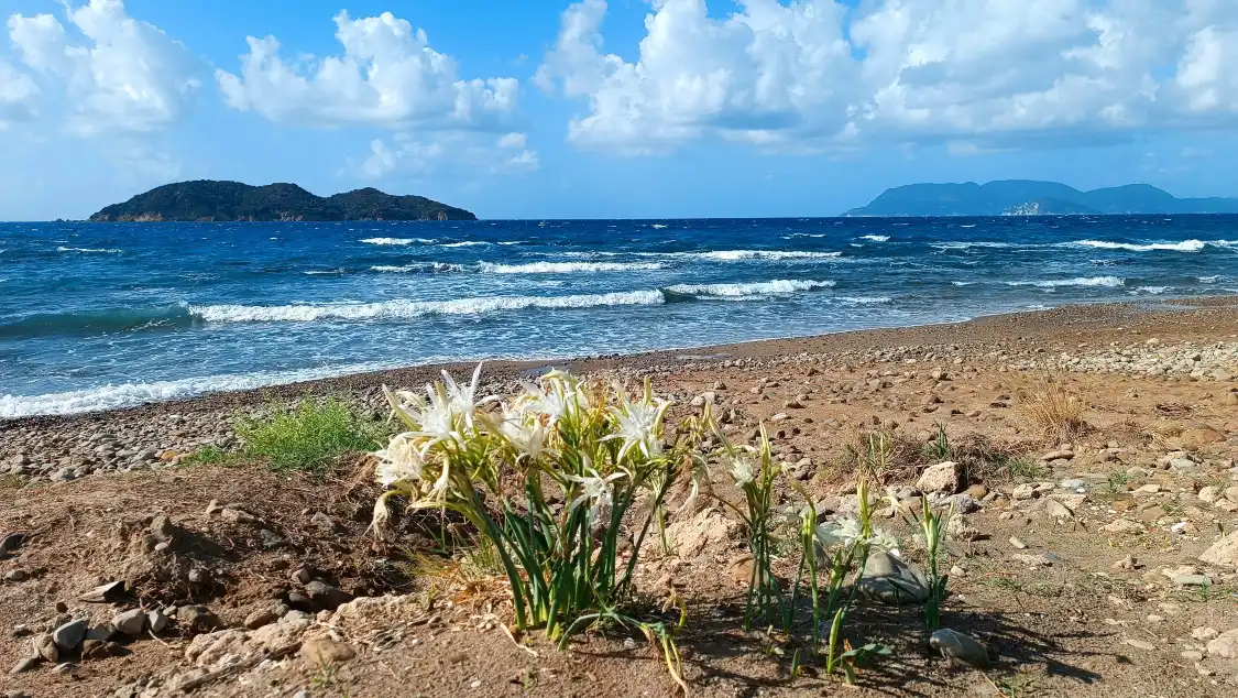 Hotels near Dafni Beach