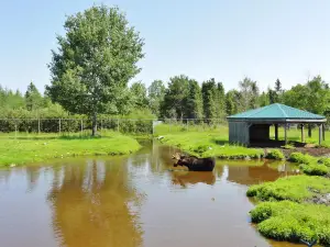 Pageau Refuge