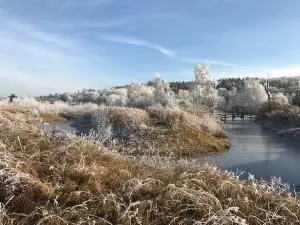 Schlosspark Dennenlohe