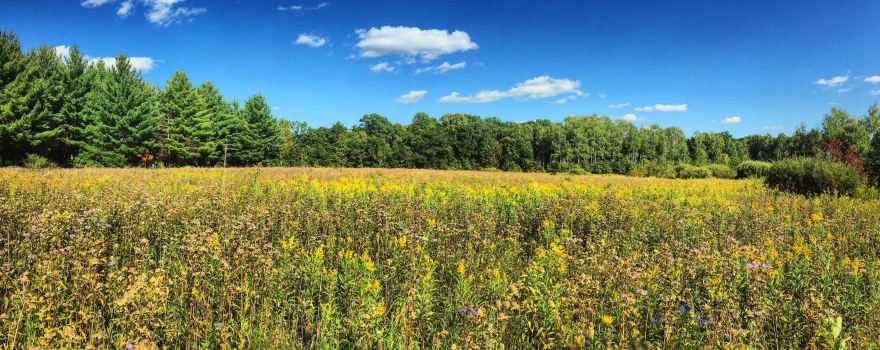 Charles A. Lindbergh State Park