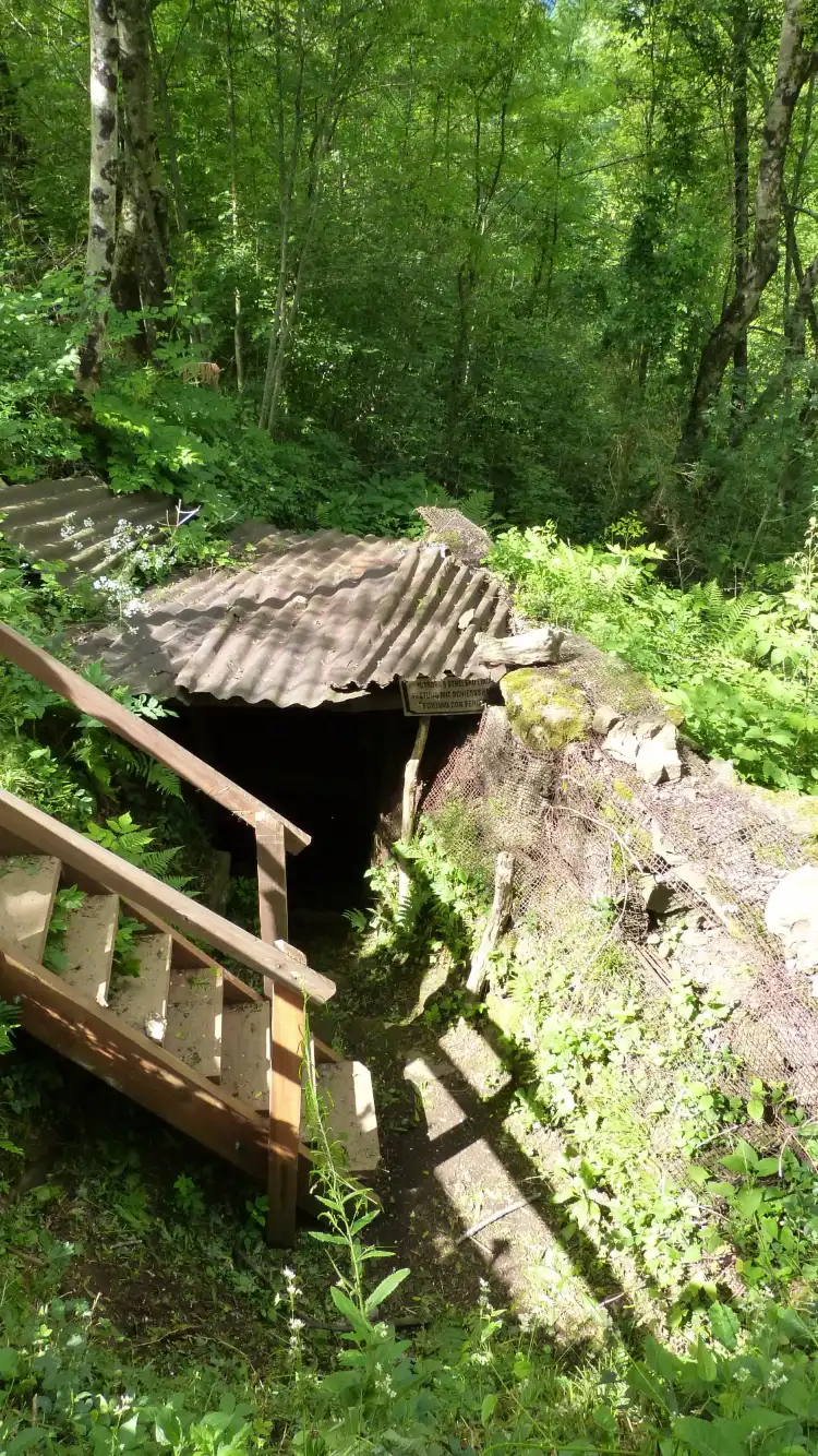 Hotels near Ravelnik Open Air Museum