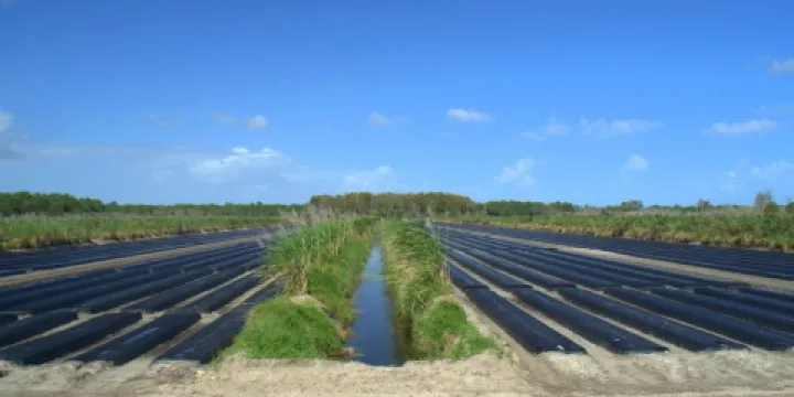 Cypress Creek Natural Area